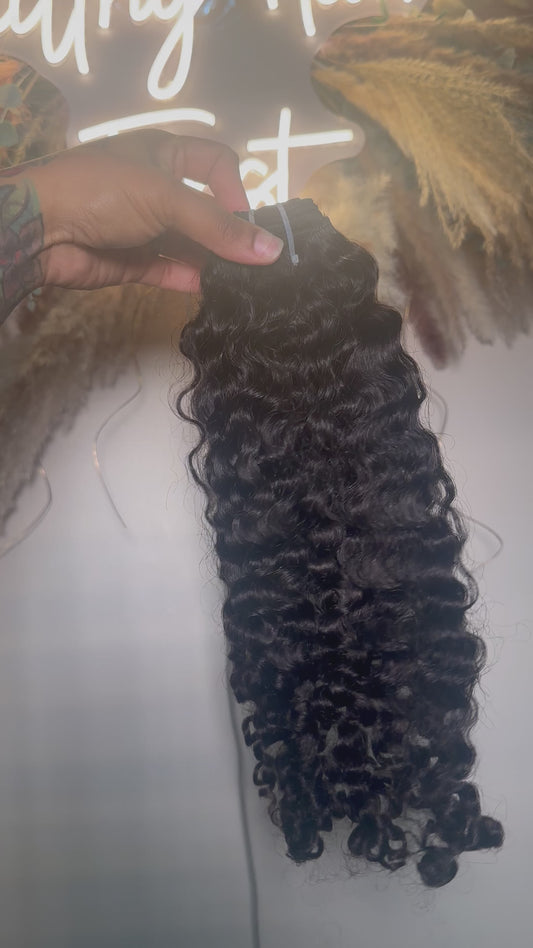 Burmese Curl